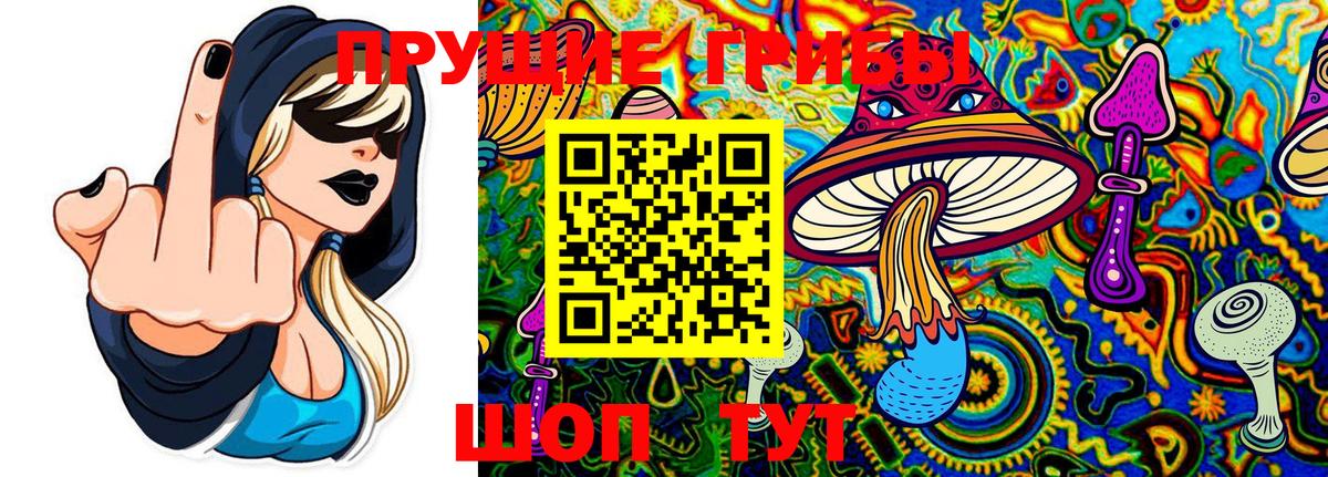 Галлюциногенные грибы Psilocybine cubensis Серов